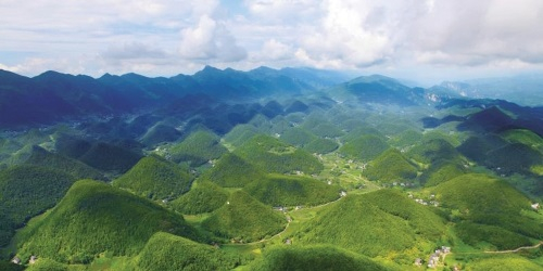 引进林业良种　绿化美丽中国